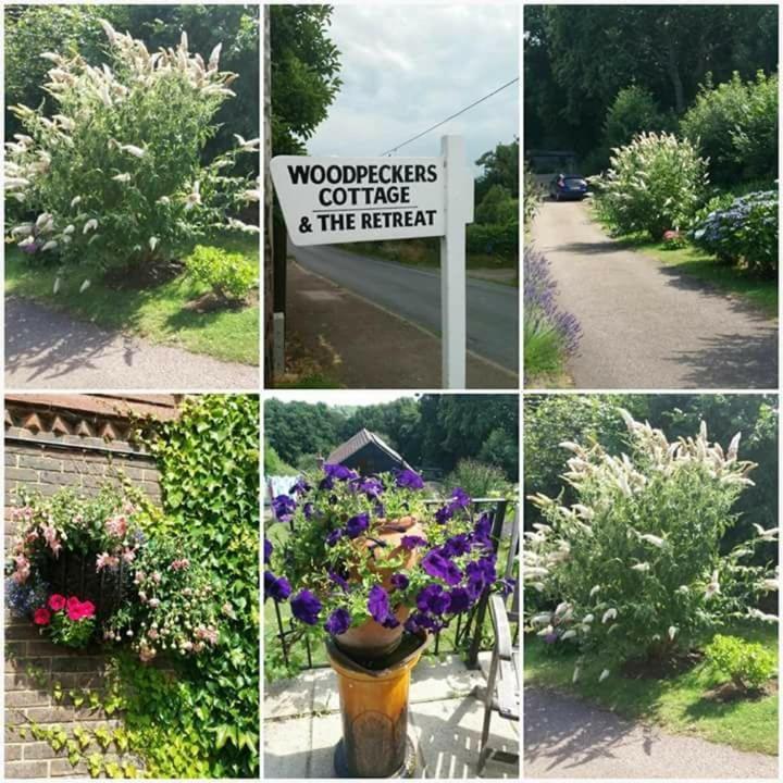 Woodpeckers Cottage B&B Pett Ngoại thất bức ảnh